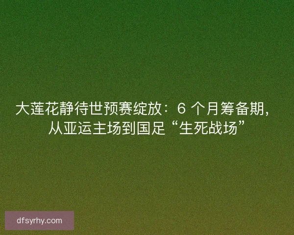 大莲花静待世预赛绽放：6 个月筹备期，从亚运主场到国足 “生死战场”