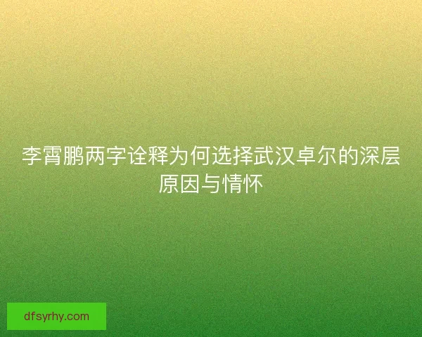 李霄鹏两字诠释为何选择武汉卓尔的深层原因与情怀